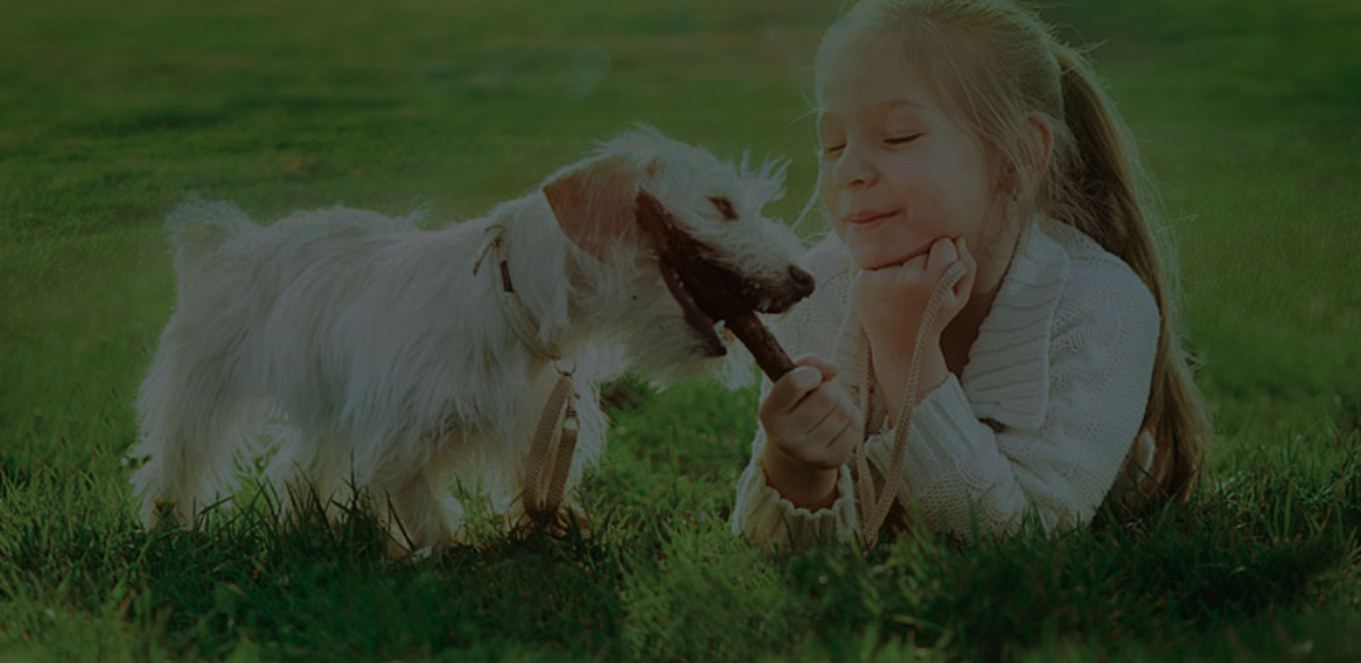 Eco Artificial Grass