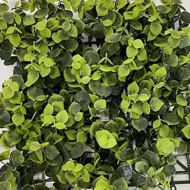 Nontoxic Realistic Artificial Boxwood Hedge Plant Window Frame Decoration