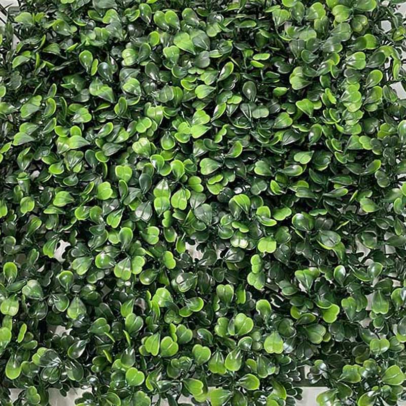 Artificial Fence Boxwood Hedge Panel Privacy Background Green Wall